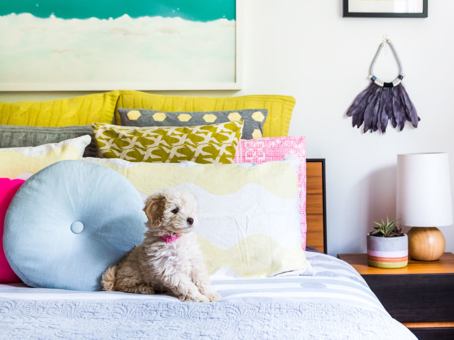 Newton s New Cooling Pet Bed Is Washable From Cover to Core